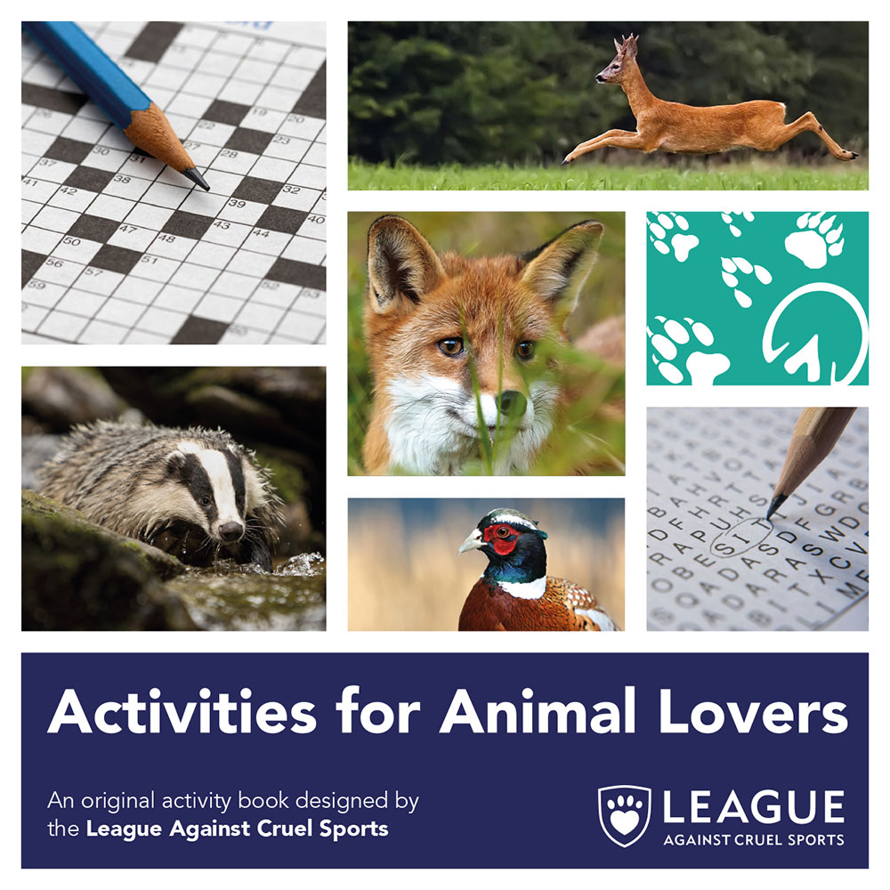 Activity Books