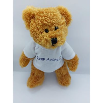 SUDEP Action Plush Teddy Bear with T-shirt