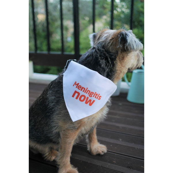 Meningitis Now Dog Bandana