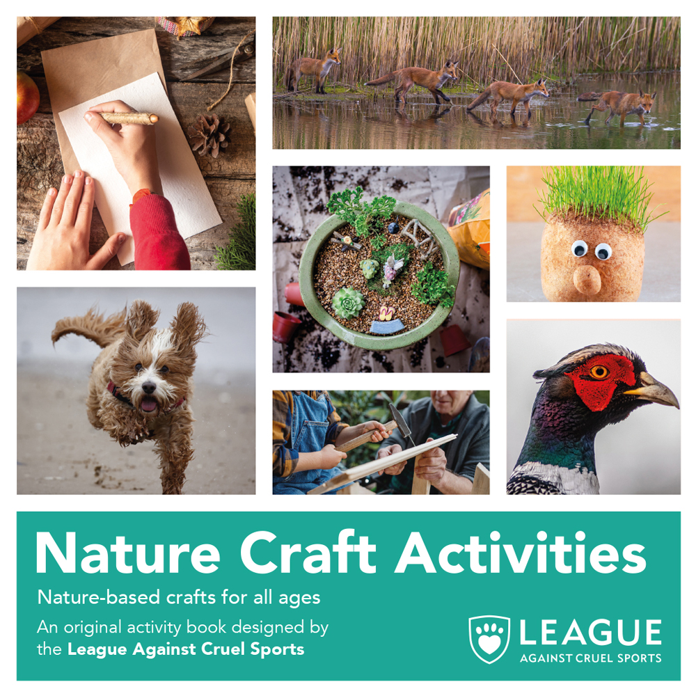 Nature Craft Activities
