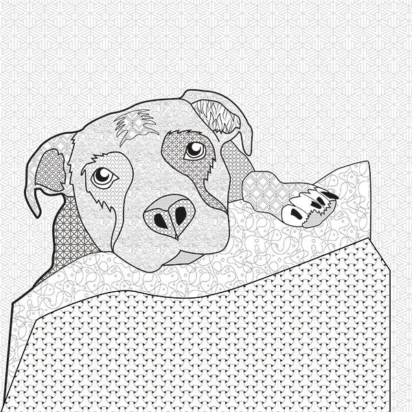 A Colourful Life Awaits  - Mindfulness Colouring Book