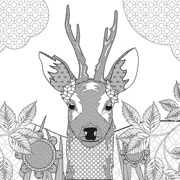 A Colourful Life Awaits  - Mindfulness Colouring Book