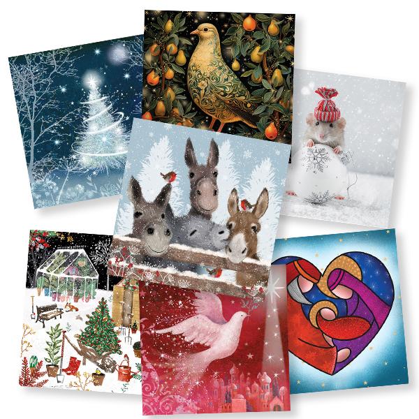 Double Value Pack - 60 Cards
