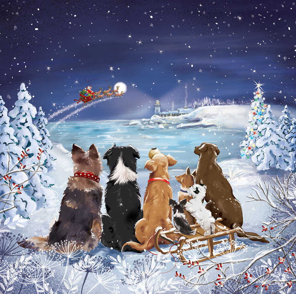 Waiting for Santa