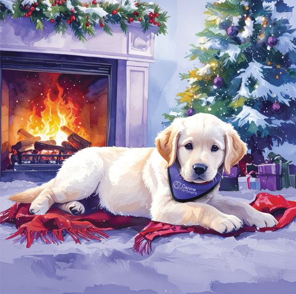 Cosy Christmas