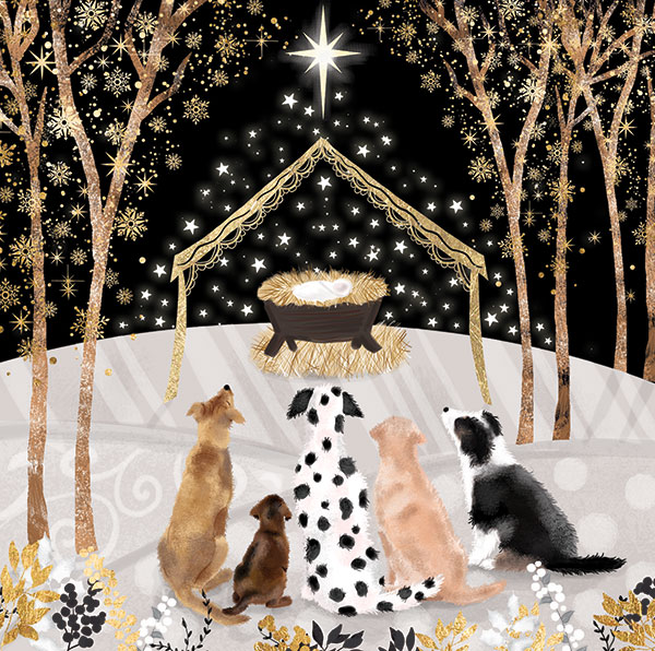 Five Wise Dogs