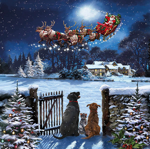 Santa in the Sky