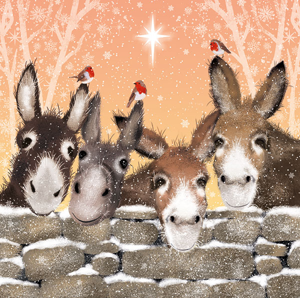 Robins and Donkeys