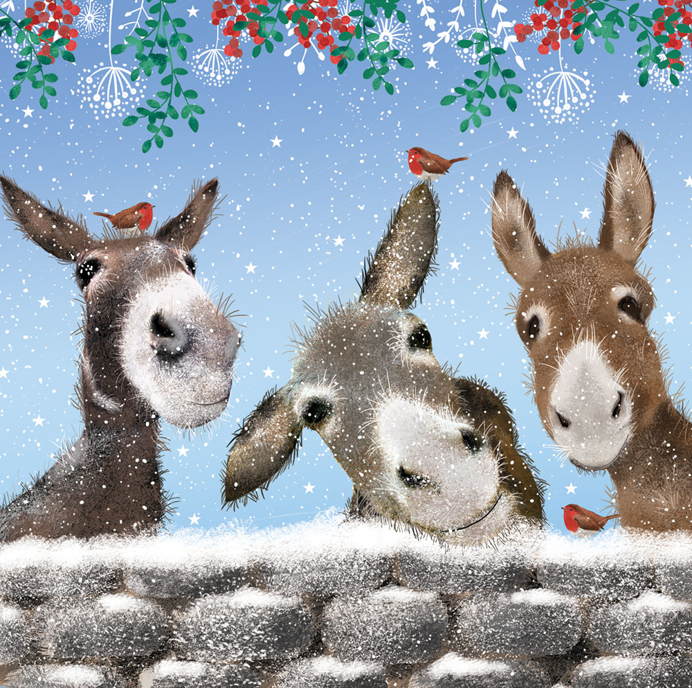Robins and Donkeys