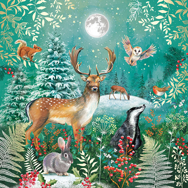 Majestic Forest