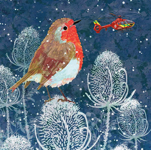 Frosty Robin