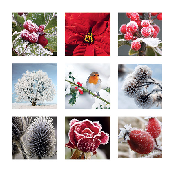 Winter Floral