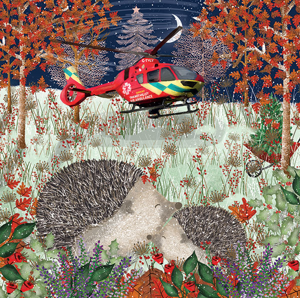 Hedgehog Huddle