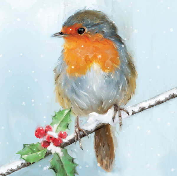 Robin in Snow