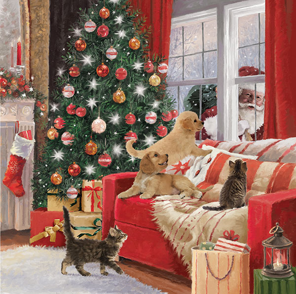 Santa at the Window