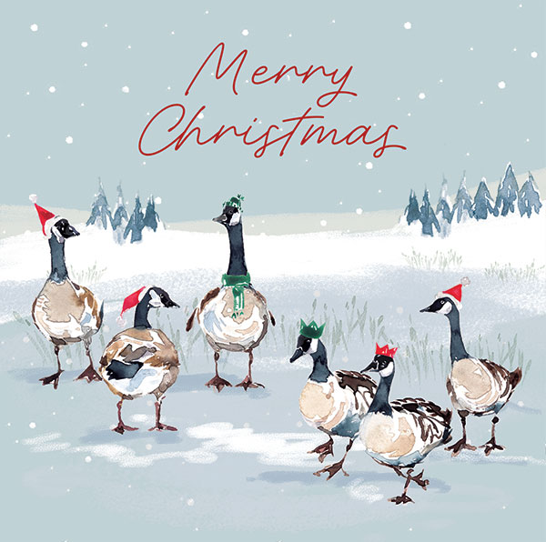 Jolly Geese