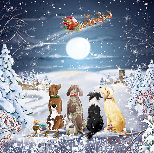 Waiting for Santa