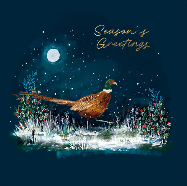 Seasonal Greetings Partridge
