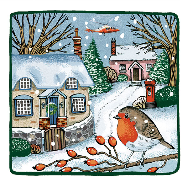 Cottage Robin