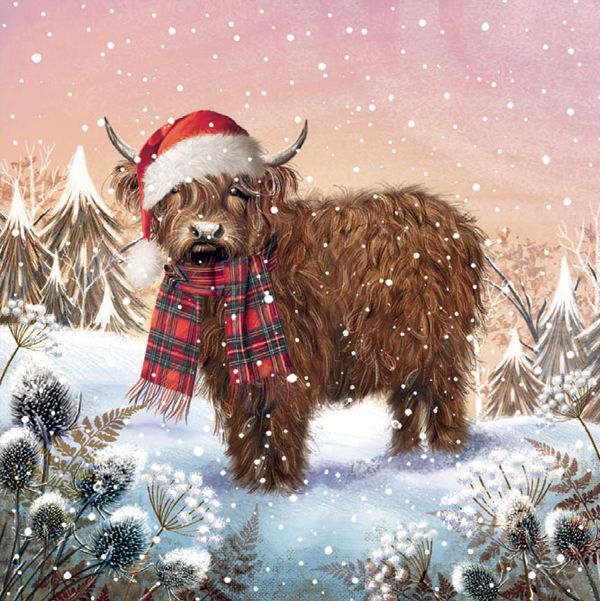 Tartan Cow