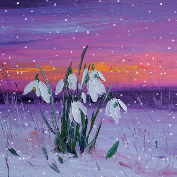 Winter Snowdrops