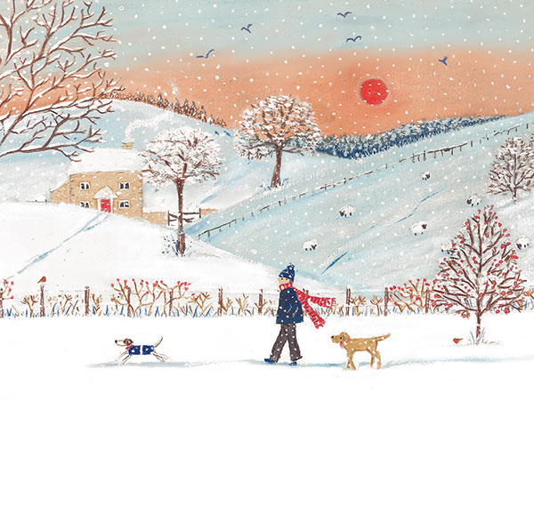 Snowy Walk