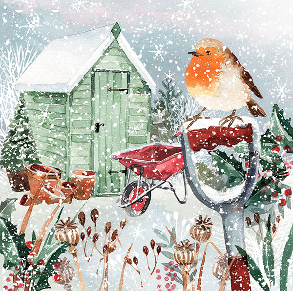 Garden Robin