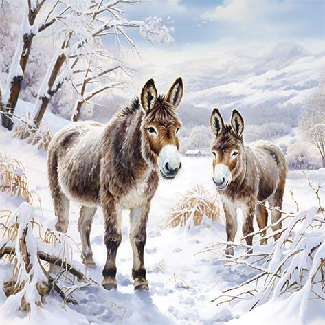 Donkeys In The Snow