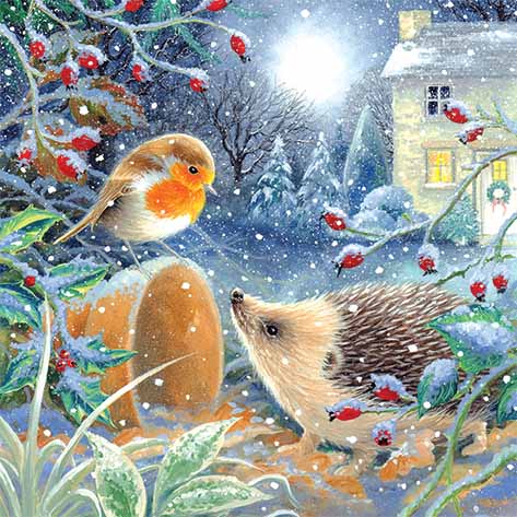 Hedgehog & Robin