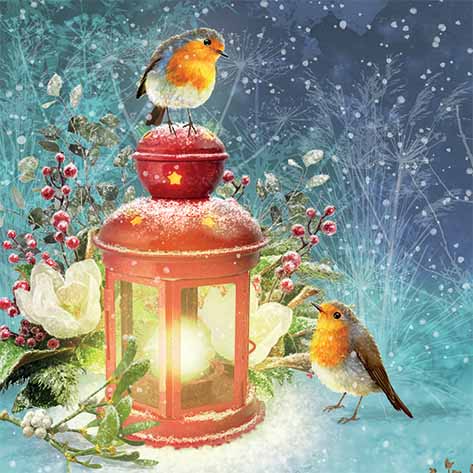 Robins & Lantern