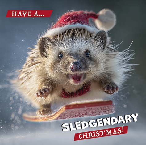 Sledgendary Christmas