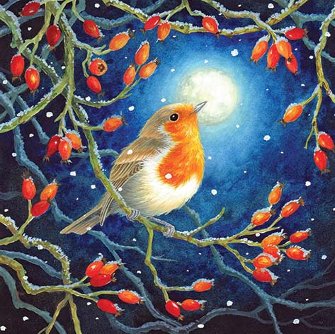 Moonlit Robin