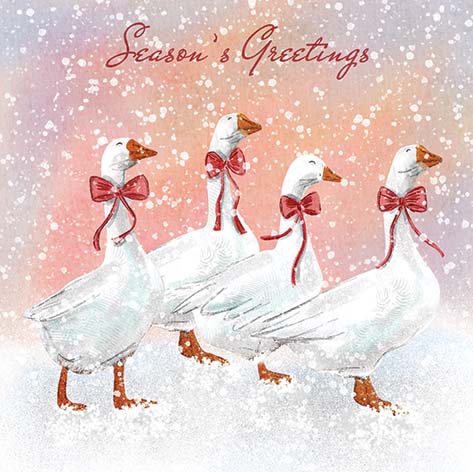 Geese In The Snow