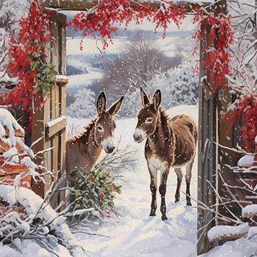 Snowy Donkeys