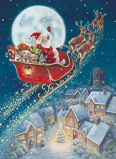 Santa In Sleigh