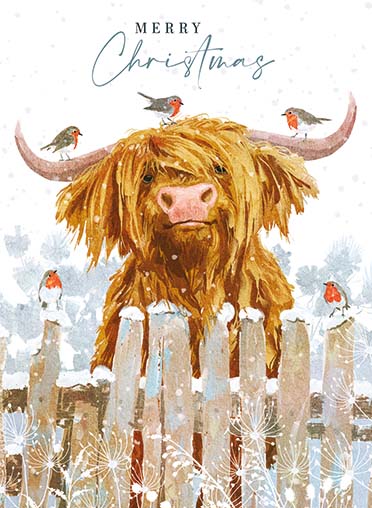 Highland Cow & Robins