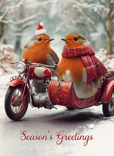 Biker Robins
