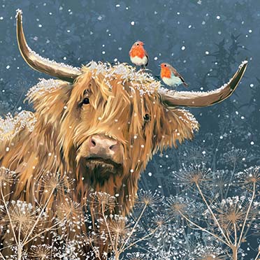Highland Cow & Robins