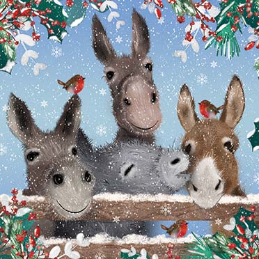Donkeys