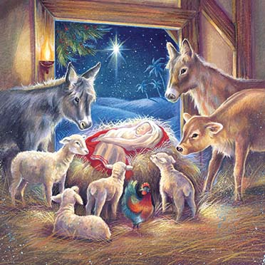 In The Stable