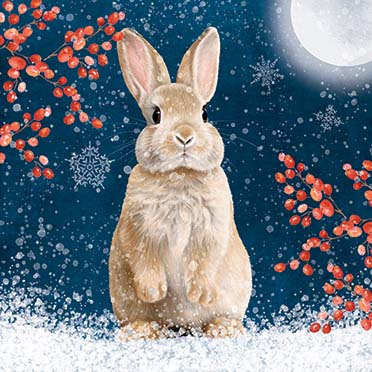 Rabbit In The Snow