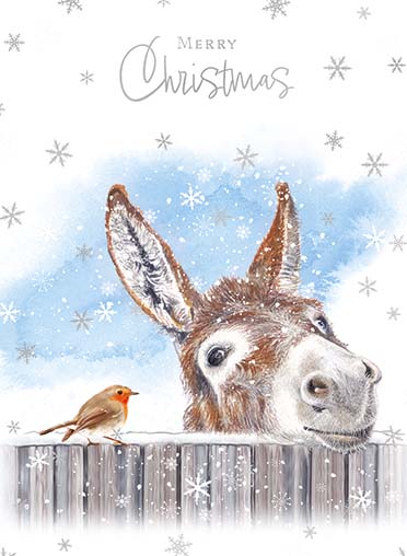 Donkey & Robin