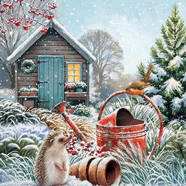 Wintry Garden Shed